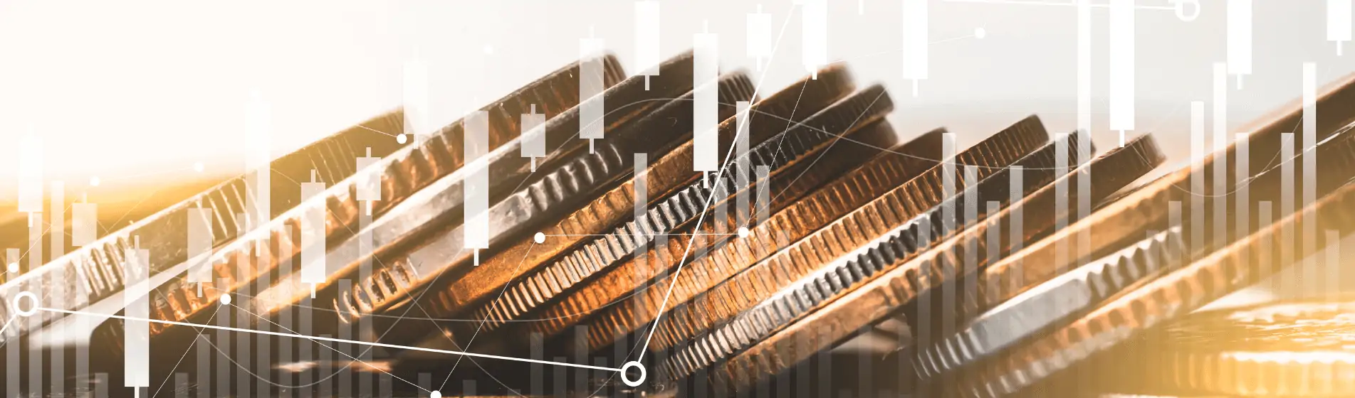 The Most Stable Exotic Currencies for High Interest Rates
