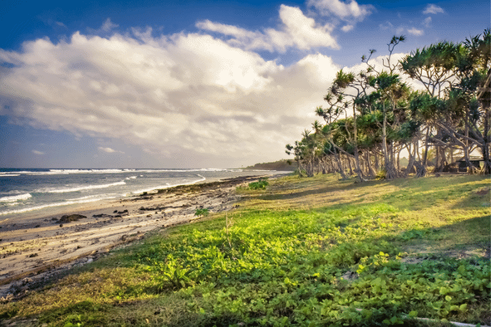 Get pre-approved for Vanuatu citizenship