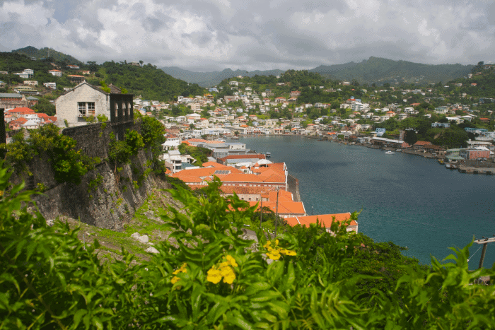 Pre-check for Grenada citizenship by investment