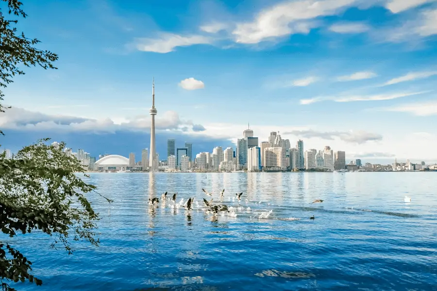 Toronto City Canada - You Have a Choice