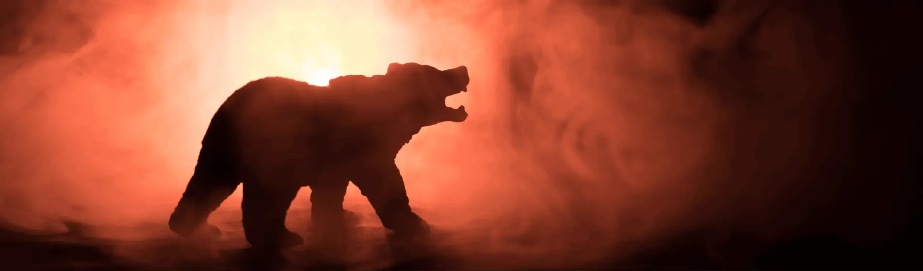 Beware of Doom and Gloom Why Not a Permabear
