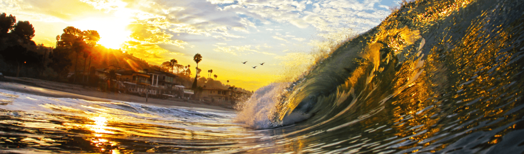 The Calexodus Why You Need to Leave California Now