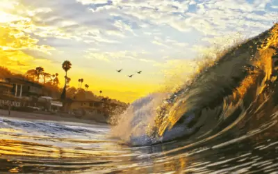 The Calexodus: Why You Need to Leave California Now