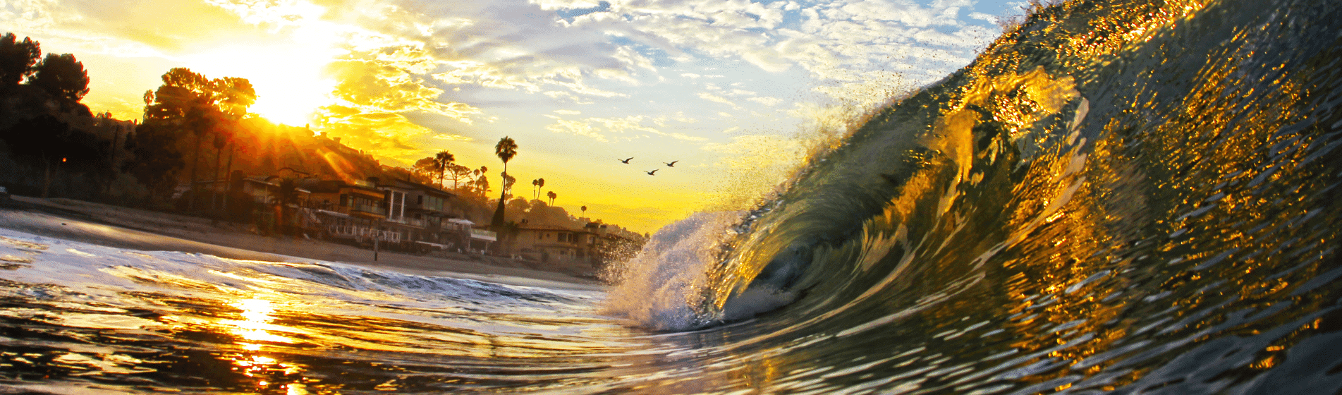 The Calexodus: Why You Need to Leave California Now