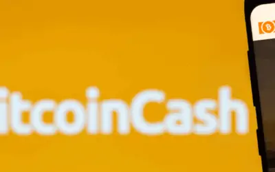 Roger Ver Speaks Out on the Bitcoin vs. Bitcoin Cash Debate
