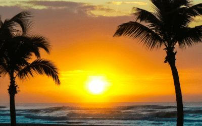 Dominica Investor Visa Program | Citizenship by Investment