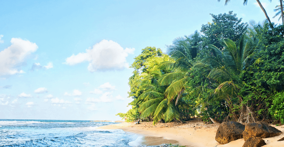 Dominica Citizenship By Investment: Entrepreneur Visa Program