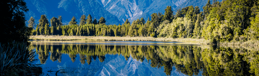 How to Get A New Zealand Permanent Residency
