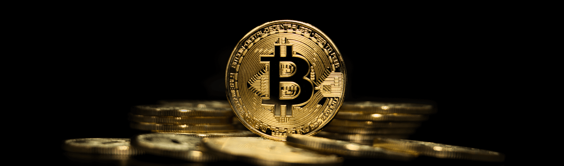 How to Successfully Respond to a Crypto Bear Market
