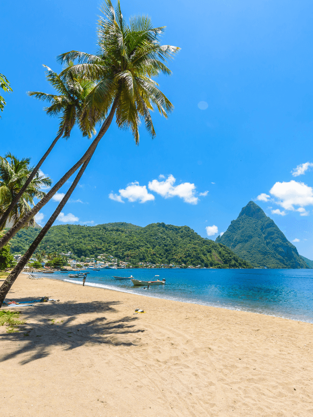 Dominica Citizenship by Investment The Ultimate Guide Nomad Capitalist