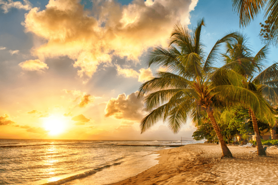 Digital-Nomads-in-Barbados