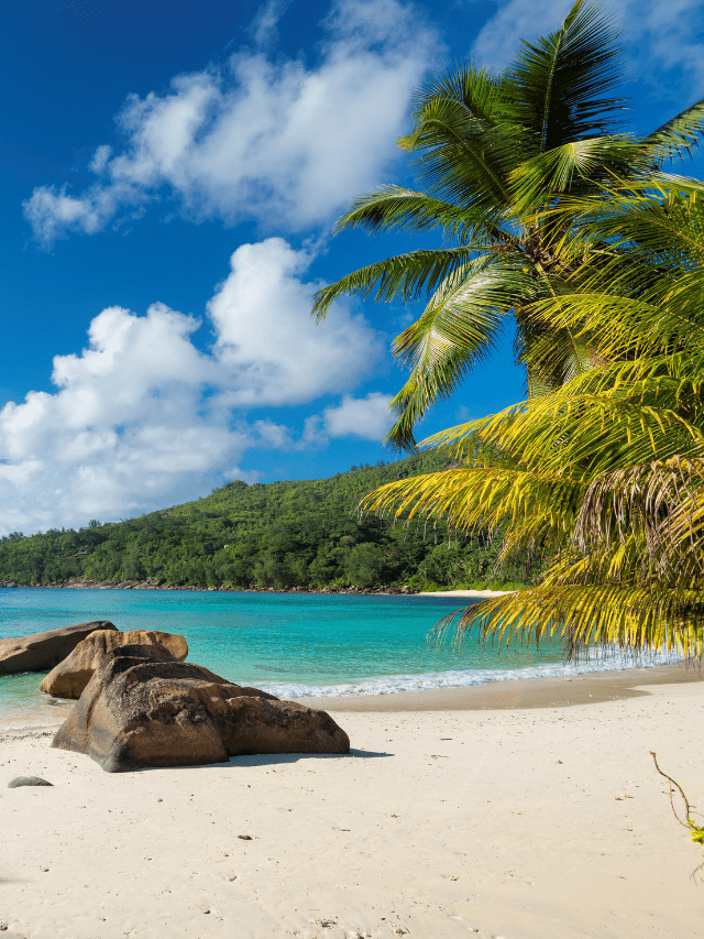 Bahamas Residency by Investment Live a Tax Free Life Nomad Capitalist