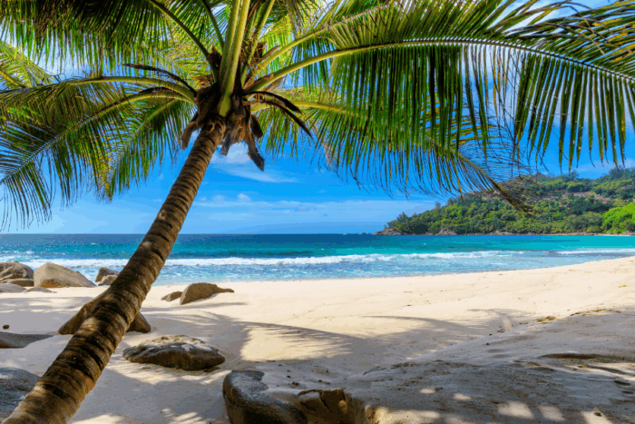 Barbados Safest Caribbean Island