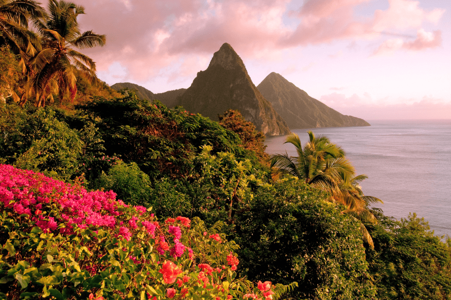 Benefits of Acquiring St Lucia Passport - All the reasons you should get it.