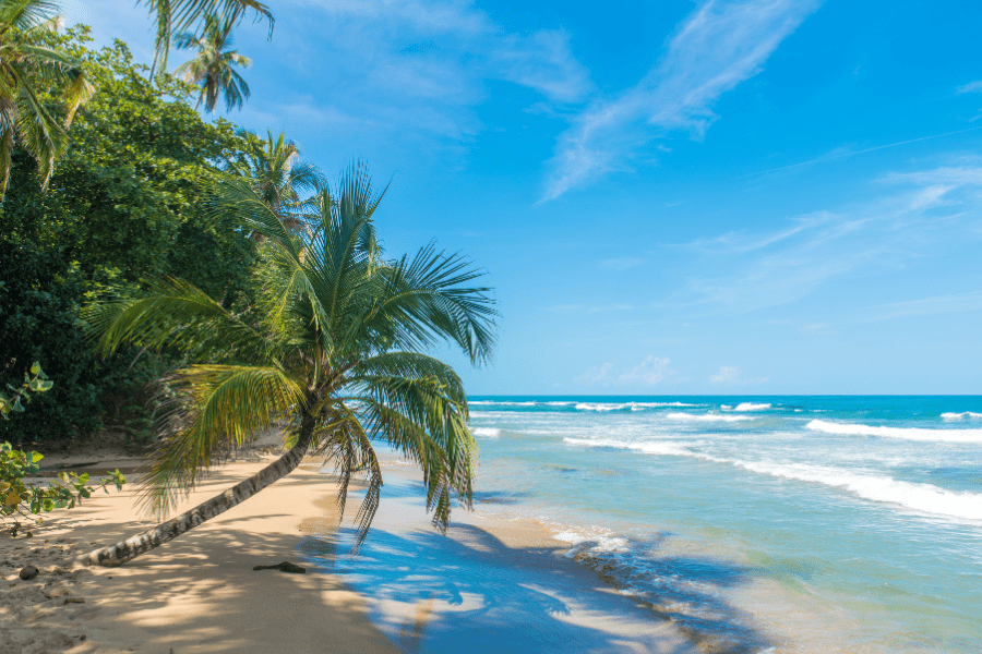 What is the Cost of Living in Costa Rica: The Ultimate Guide