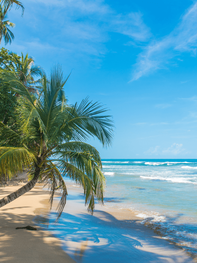 Digital Nomad Visa to Get in 2022 Nomad Capitalist