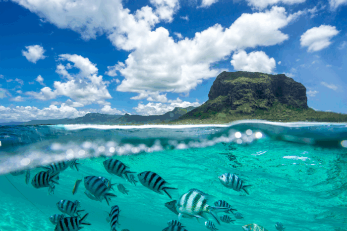 Discover the Best Caribbean Tax Havens