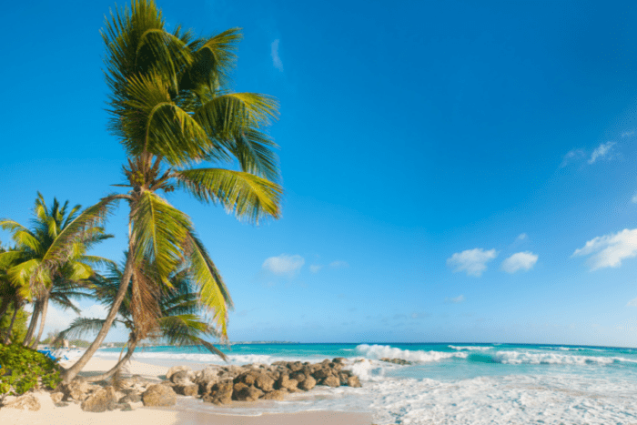 Establish Tax Residence in Barbados 2023