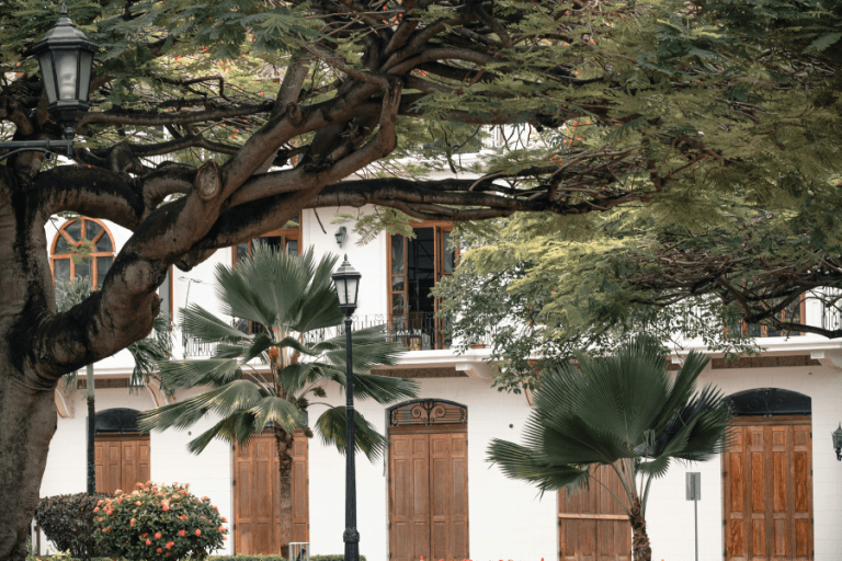 Expat Living in Casco Viejo, Panama