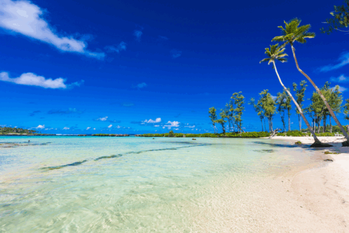 How Does Vanuatu’s CBI Compare