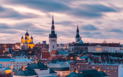 How You Can Lower Your Taxes by Setting Up a Company in Estonia 2023
