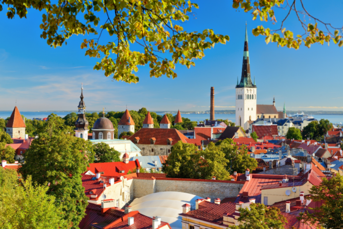 How You Can Lower Your Taxes by Setting Up a Company in Estonia