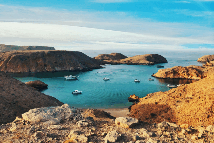 How do Taxes in Oman Work