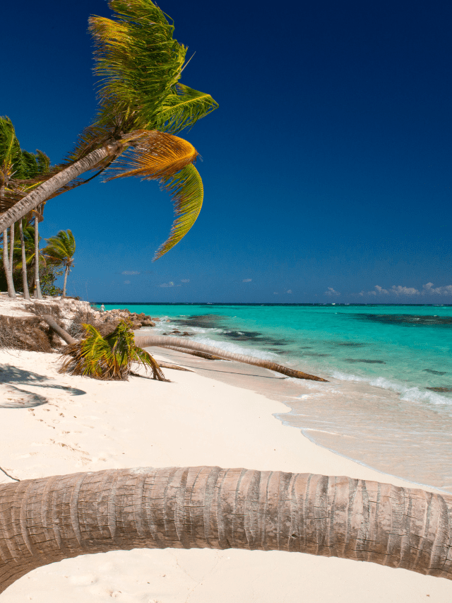 How to Get Anguilla Residence Nomad Capitalist