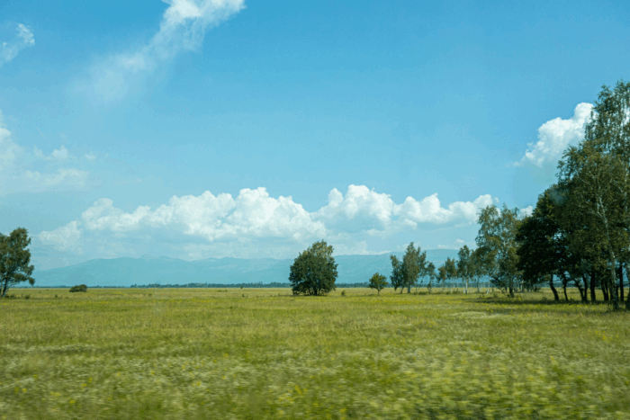 Is Buying Land a Good Investment