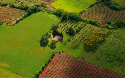 Is Land Investment Safer? 