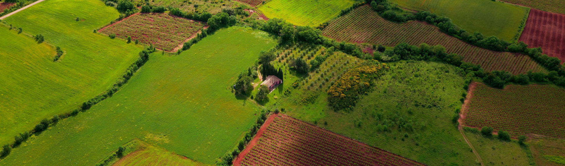 Is Land Investment Safer? 