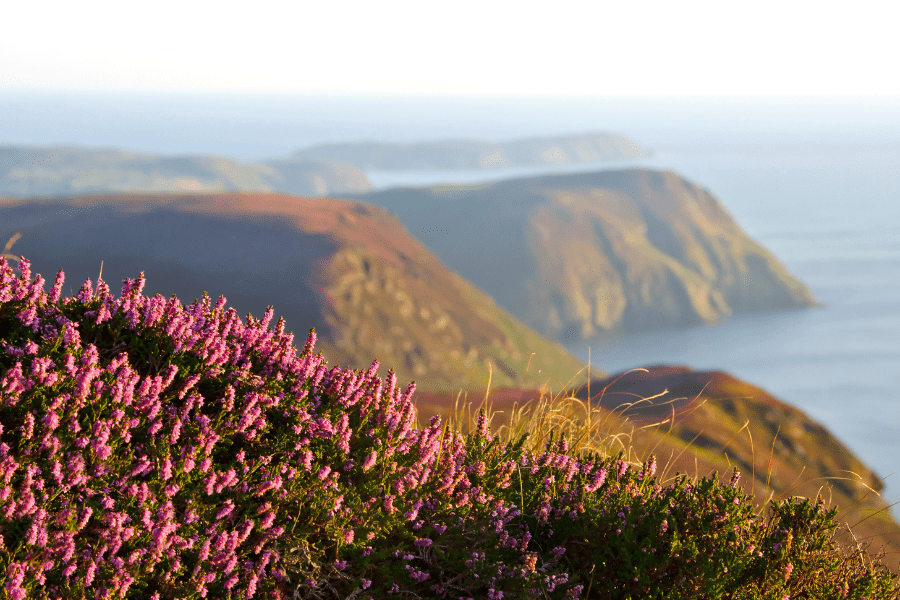 Isle of Man