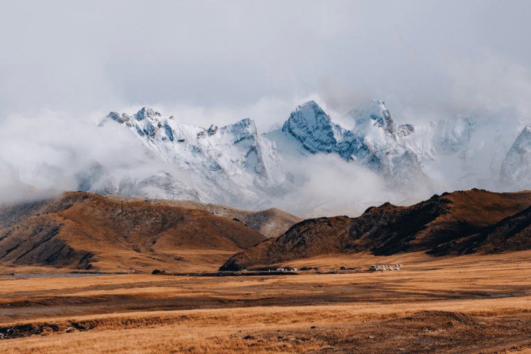 Kyrgyzstani Som  , Asian Countries and Their Currencies