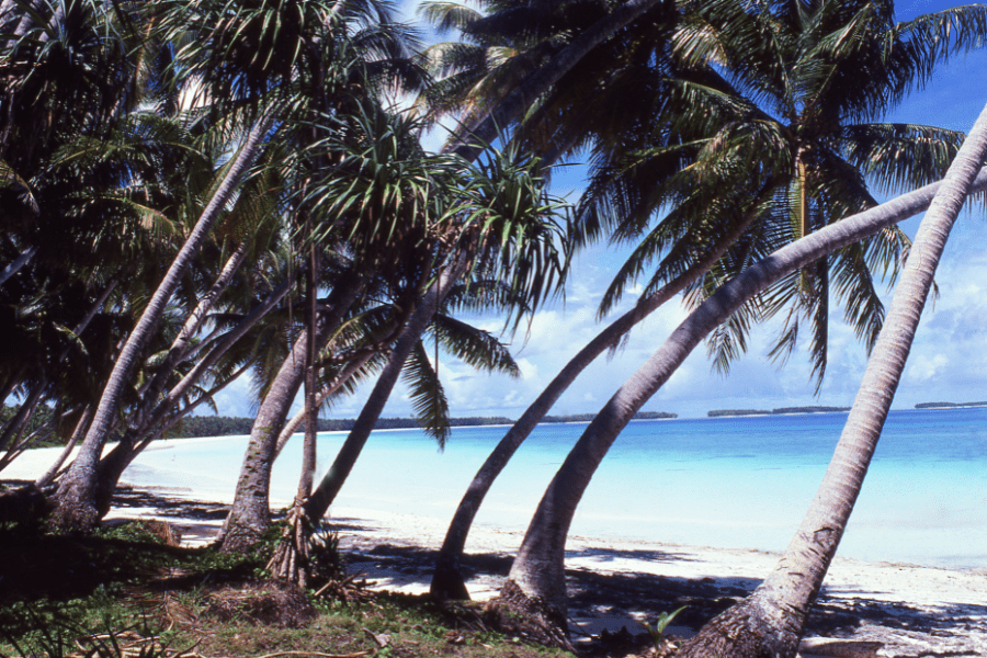 Learn about Marshall Islands company registration