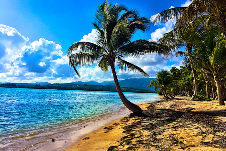 Move to one of the US territories Puerto Rico