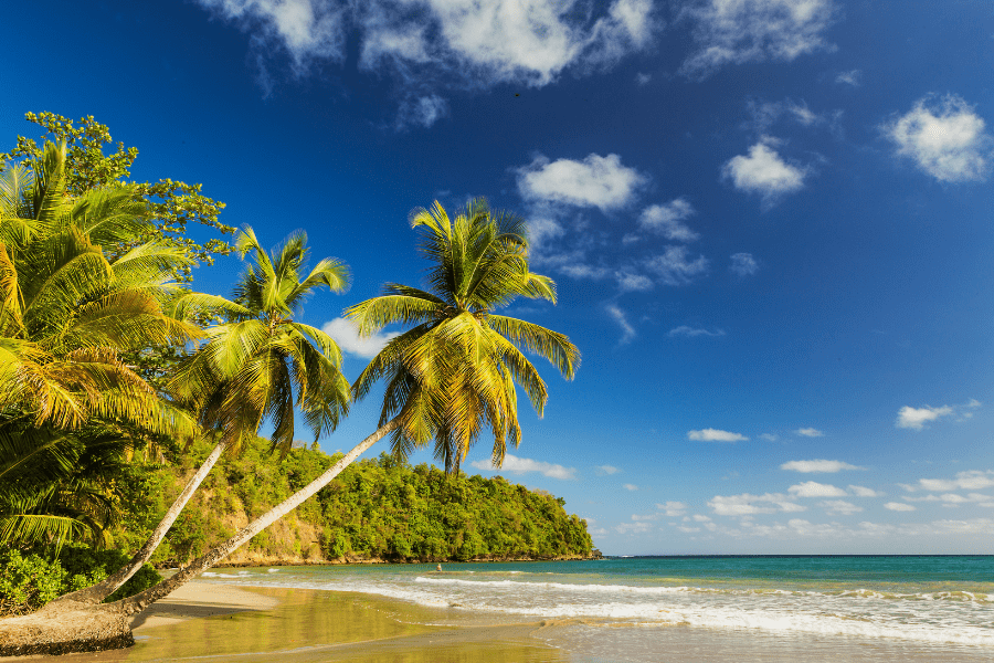 Grand Anse, Grenada