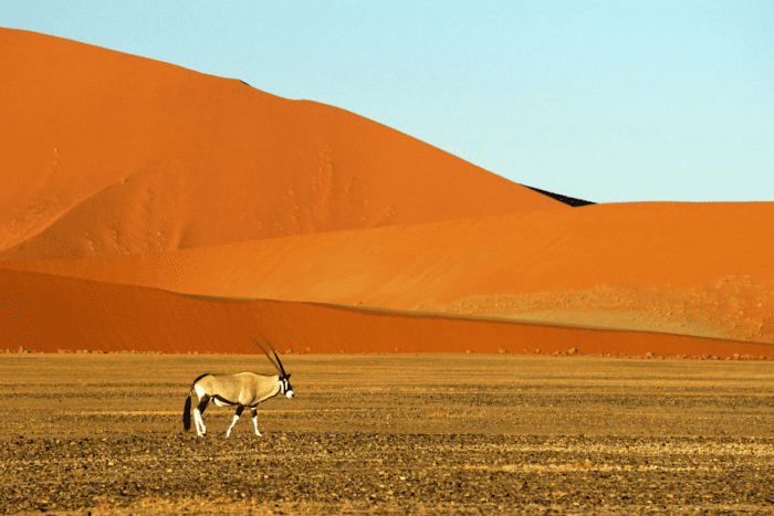 10 of the Safest Countries in Africa for Nomads