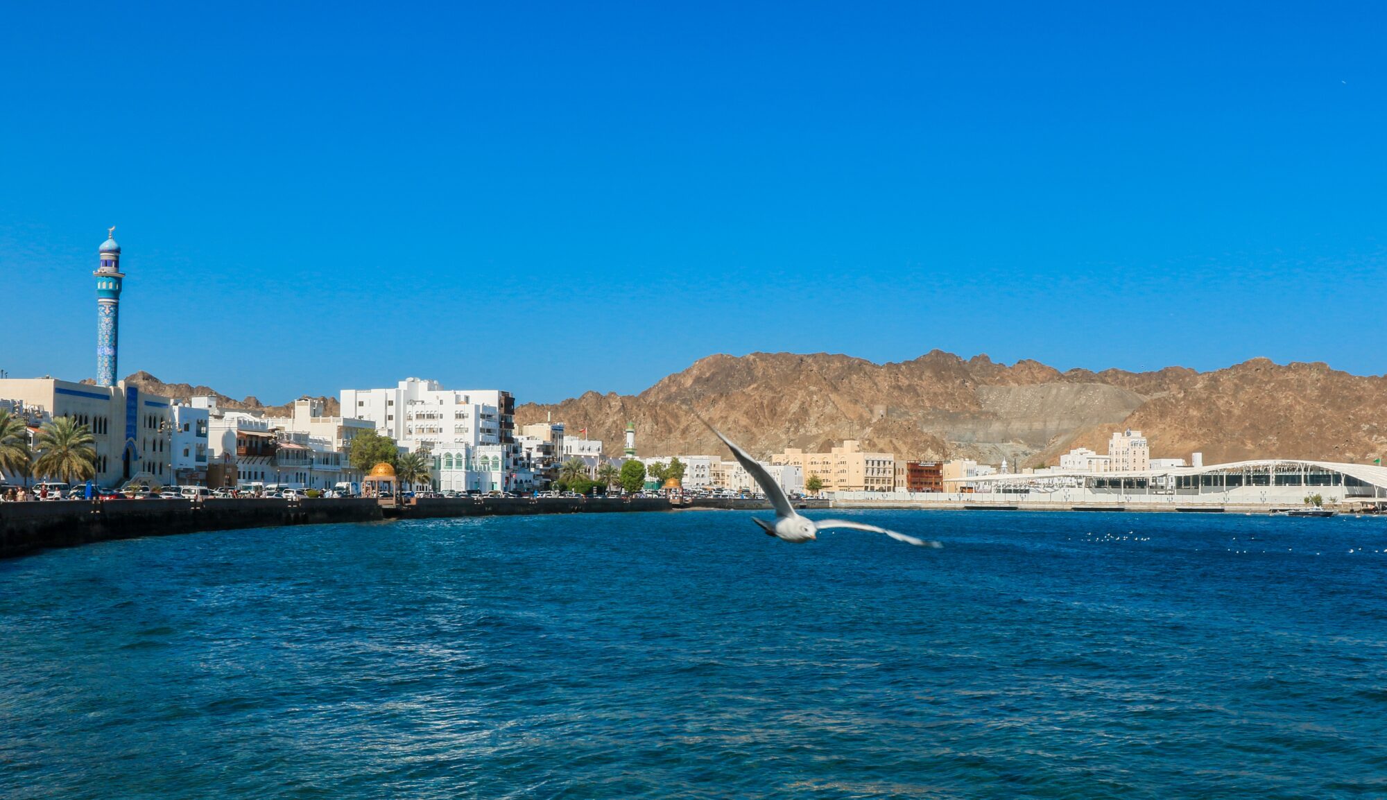 Oman Golden Visa Everything You Should Know in 2026