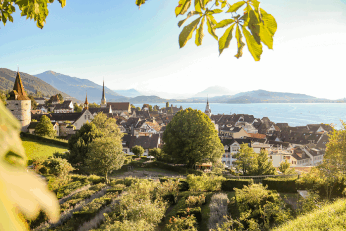 Pros and Cons of Zug Canton Taxes