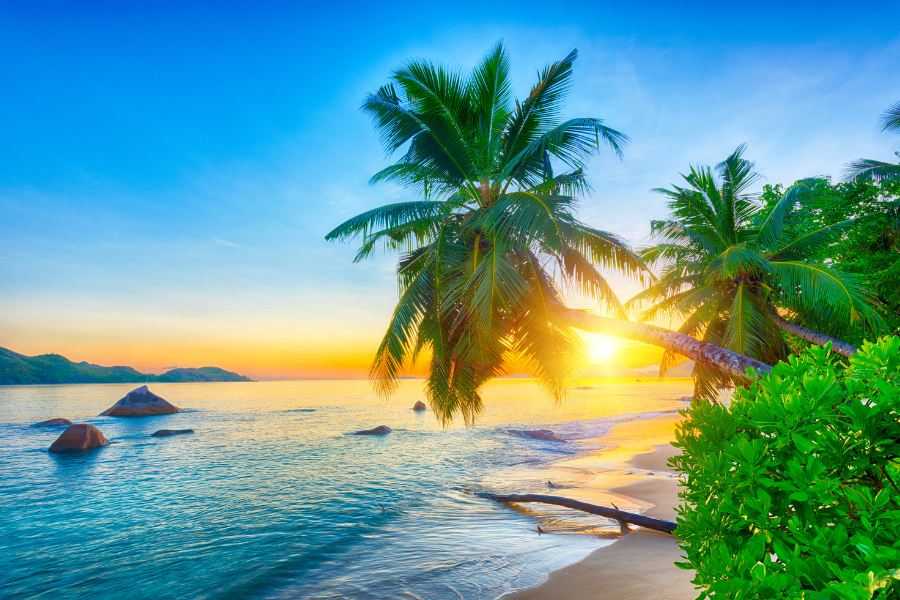 Seychelles Offshore Banking Requirements