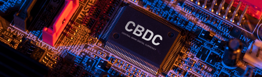The Future of Digital Money CBDCs versus Decentralized Cryptocurrencies