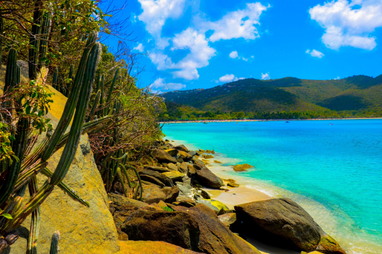 USVI Tax System