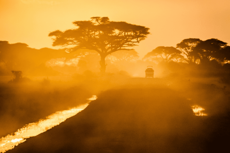 Understanding the Corruption Perceptions Index