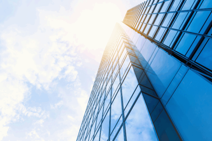 What is Venture Capital